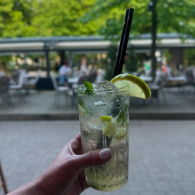 Mojito - Menta i limeta